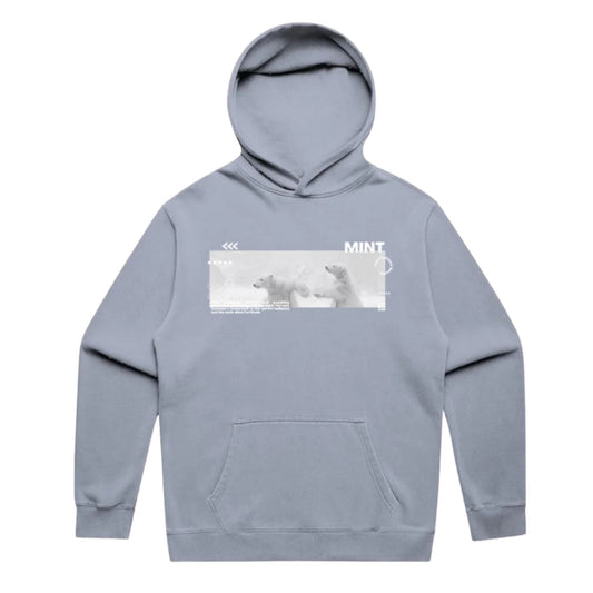 Mint Heavyweight Polar Relax Faded Hoodie